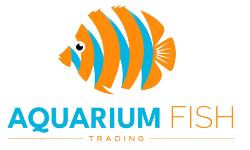 aquariumfishtrading.com